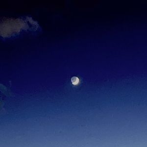 Meet your Posher, Drayton